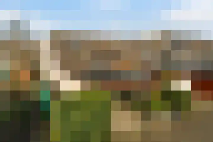 Diamant 65 Berkel en Rodenrijs thumbnail 44
