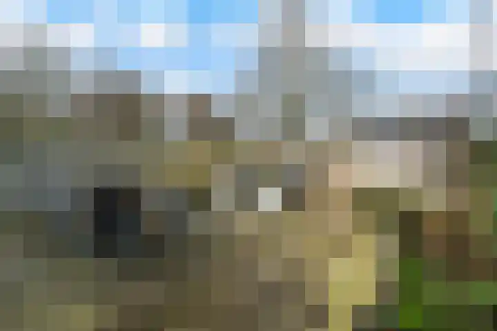Diamant 65 Berkel en Rodenrijs thumbnail 5