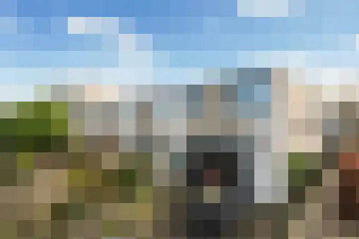 Diamant 65 Berkel en Rodenrijs thumbnail 6