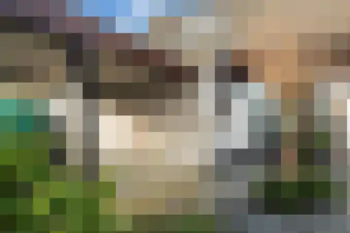Diamant 65 Berkel en Rodenrijs thumbnail 7