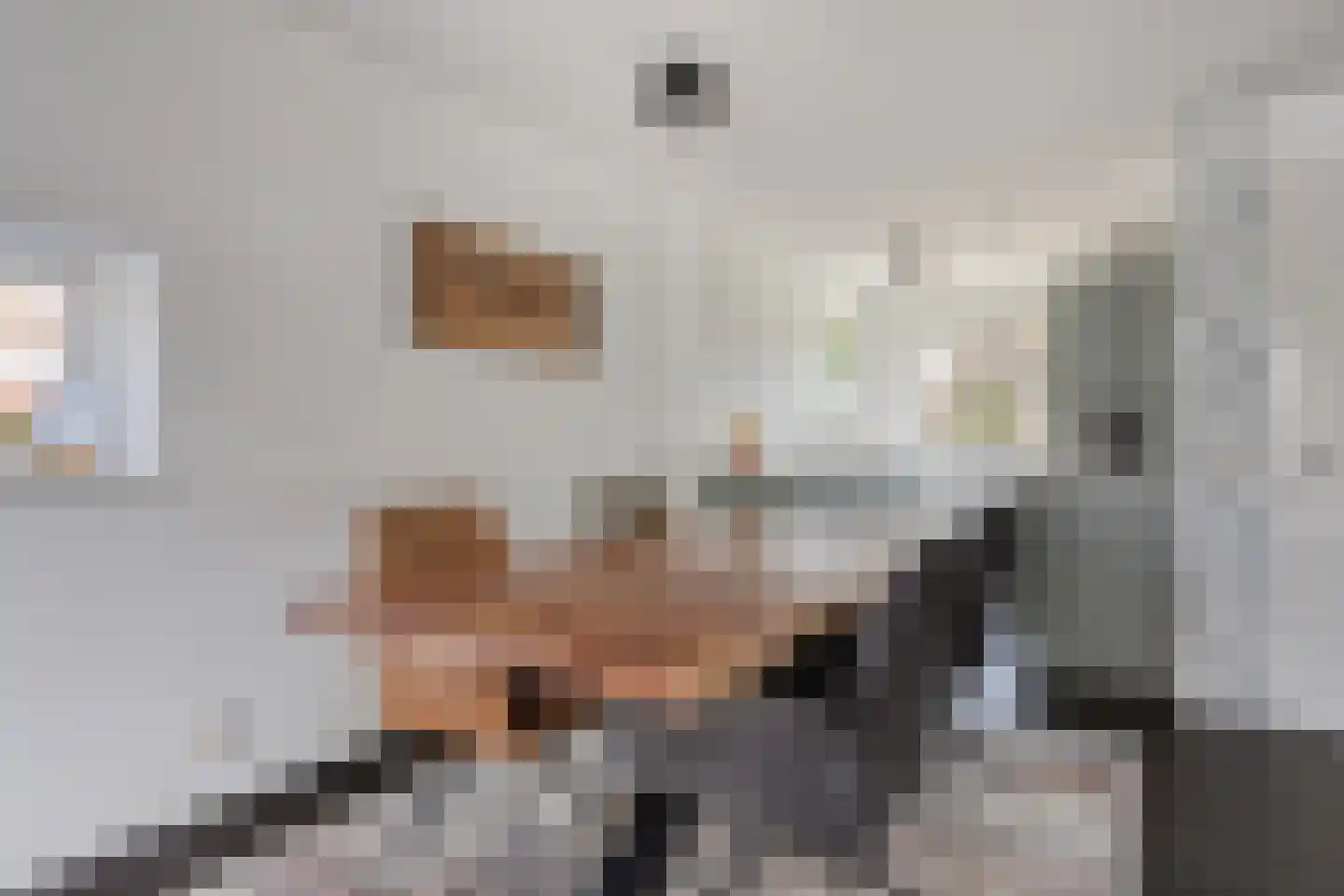 Diamant 8 Anna Paulowna thumbnail 16