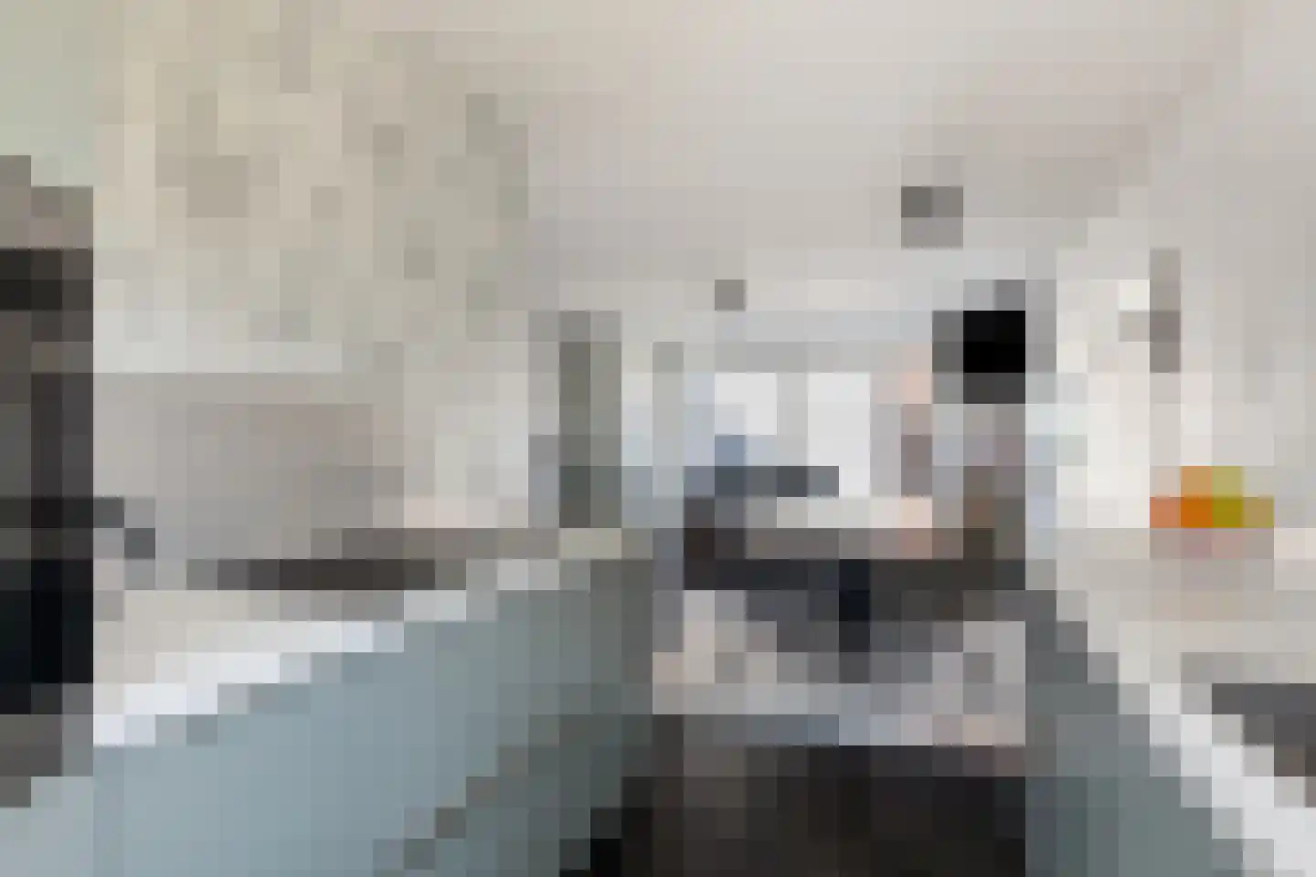 Diamant 8 Anna Paulowna thumbnail 20