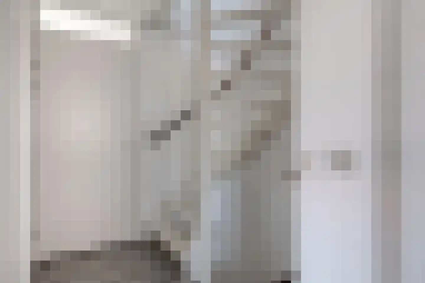 Diamant 8 Anna Paulowna thumbnail 22
