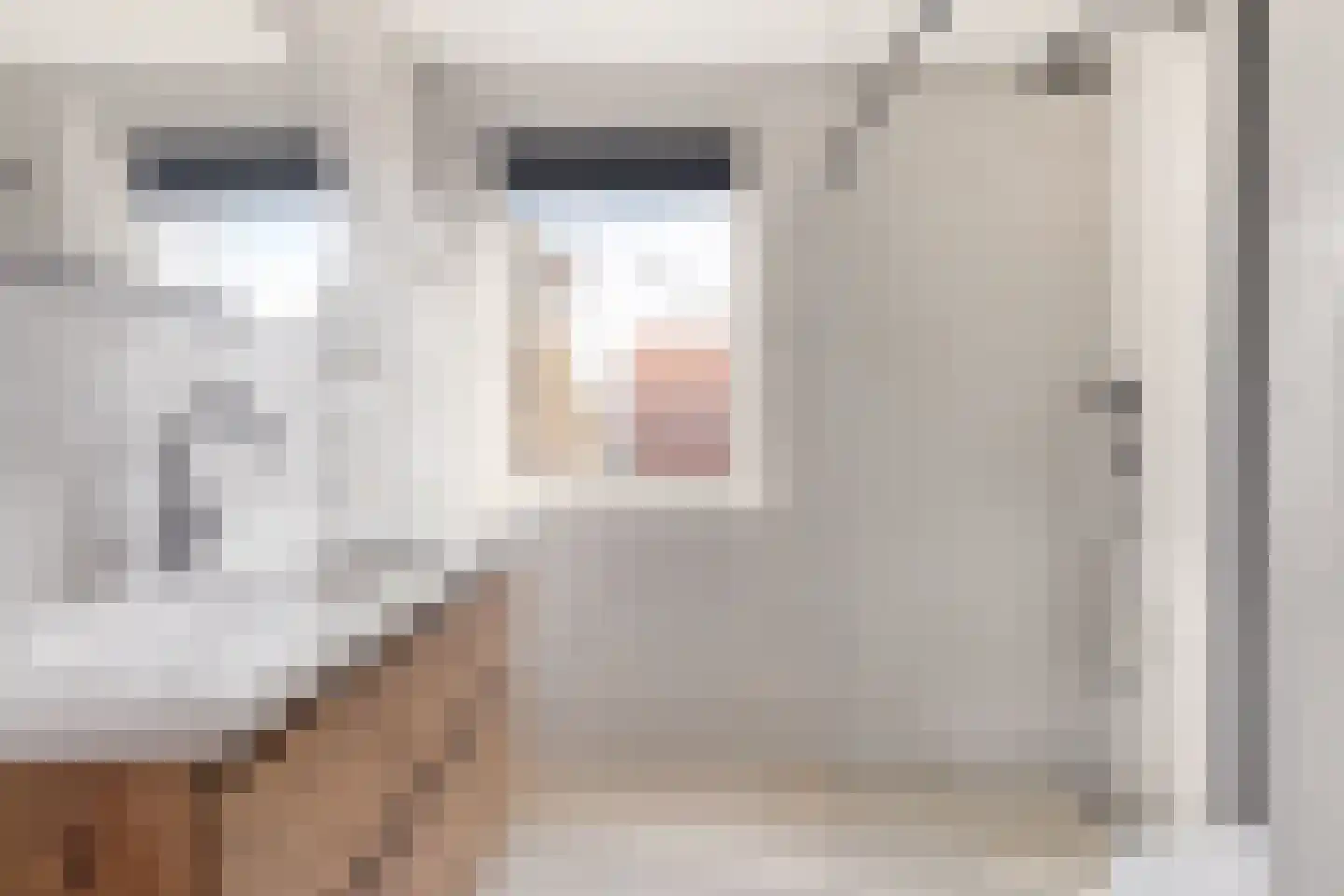 Diamant 8 Anna Paulowna thumbnail 26
