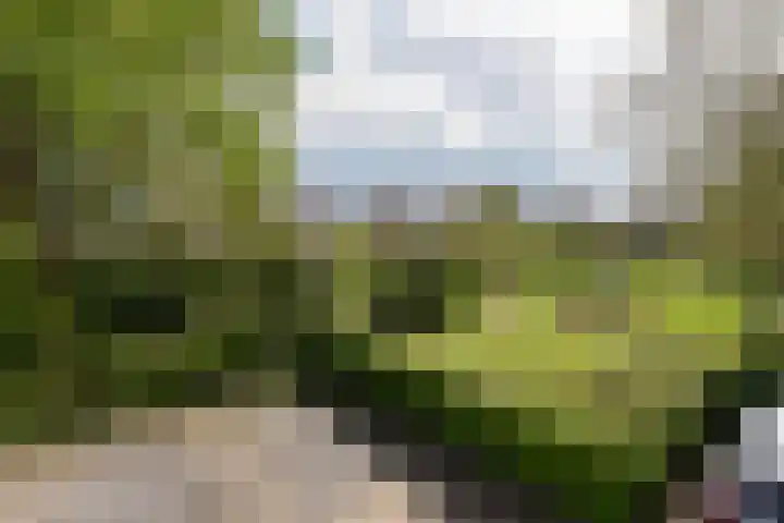 Diamant 97 Mijdrecht thumbnail 30