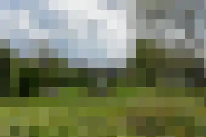 Diamant 97 Mijdrecht thumbnail 31