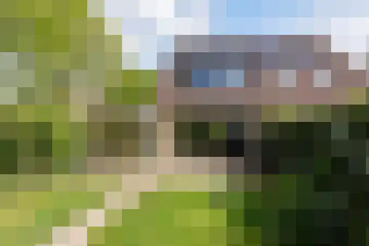 Diamant 97 Mijdrecht thumbnail 4