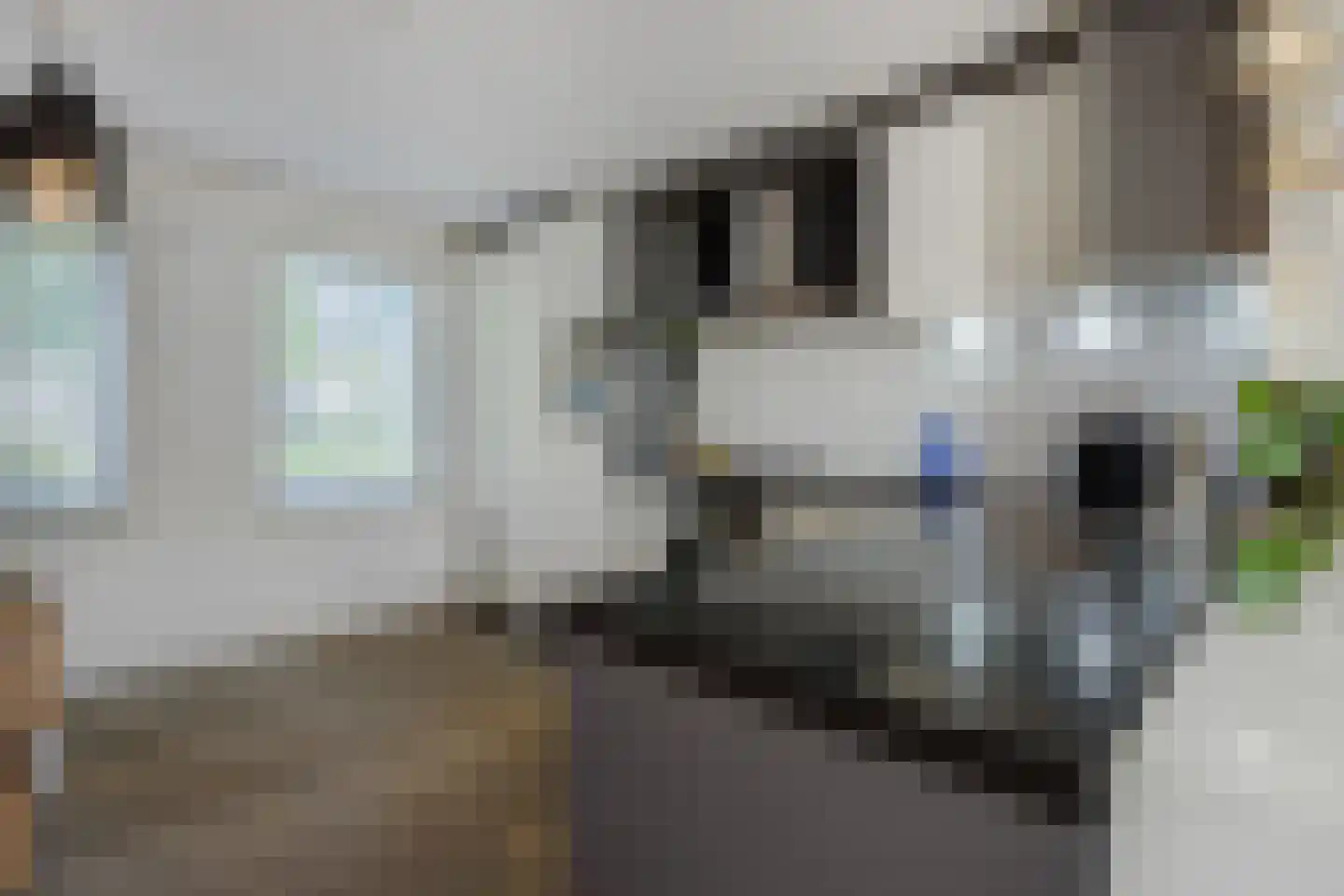 Diamantborch 25 Rosmalen thumbnail 12