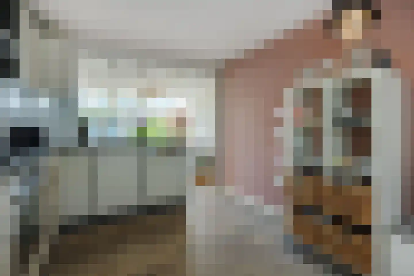 Diamantborch 25 Rosmalen thumbnail 14