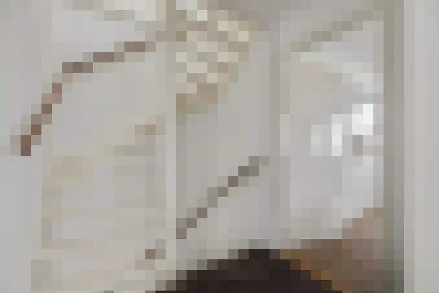 Diamantborch 25 Rosmalen thumbnail 22