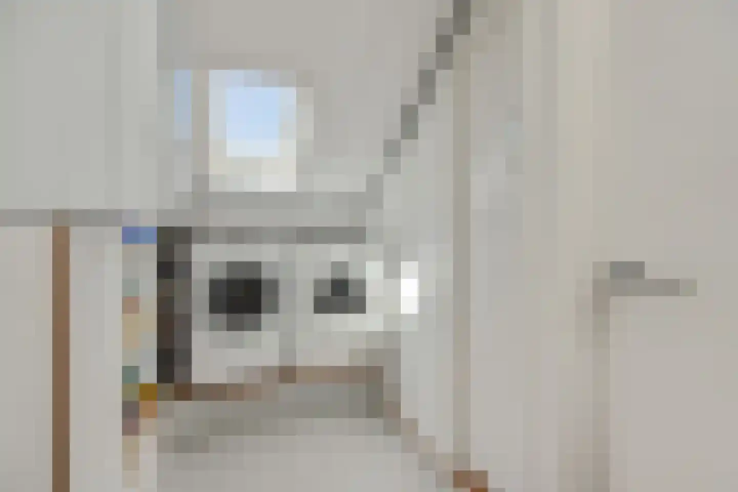 Diamantborch 25 Rosmalen thumbnail 23