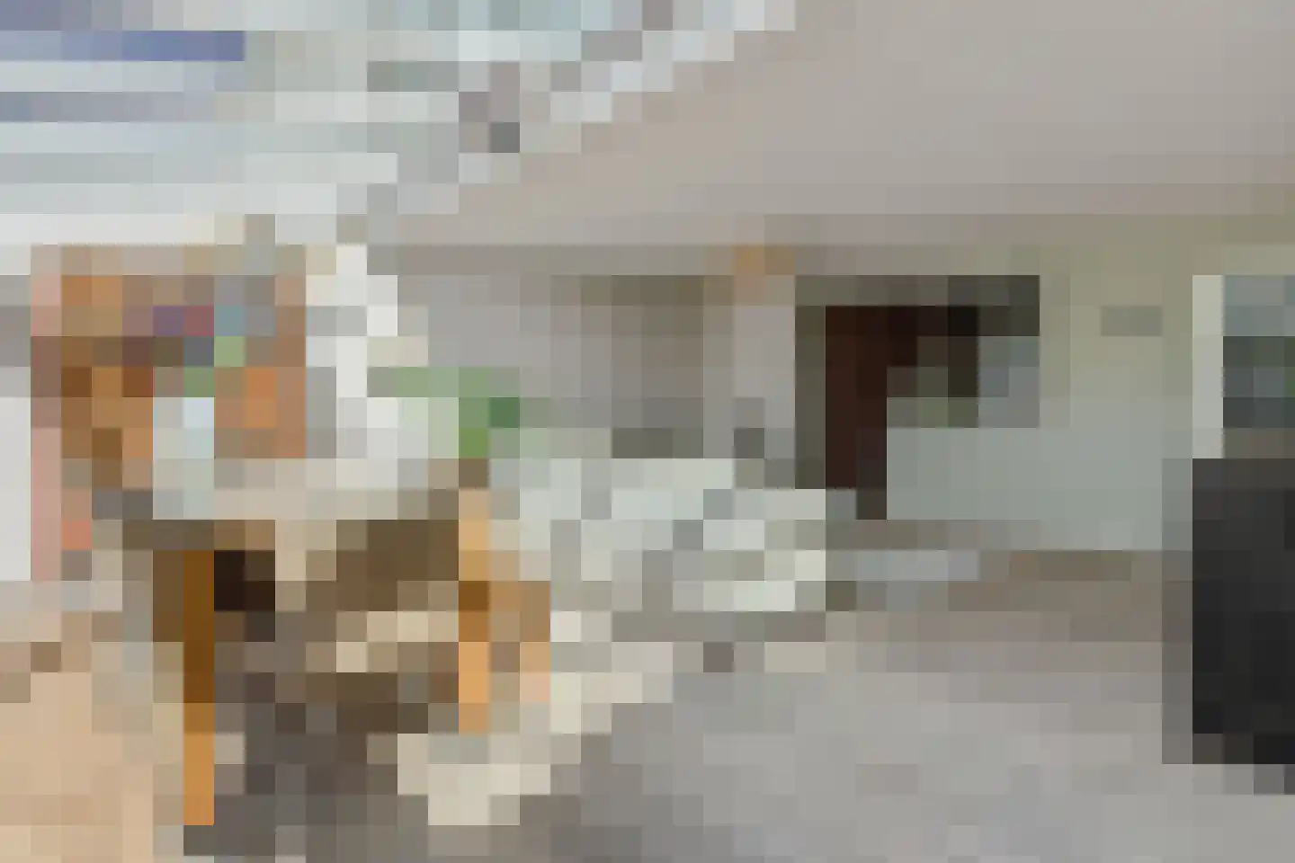 Diamantborch 25 Rosmalen thumbnail 7
