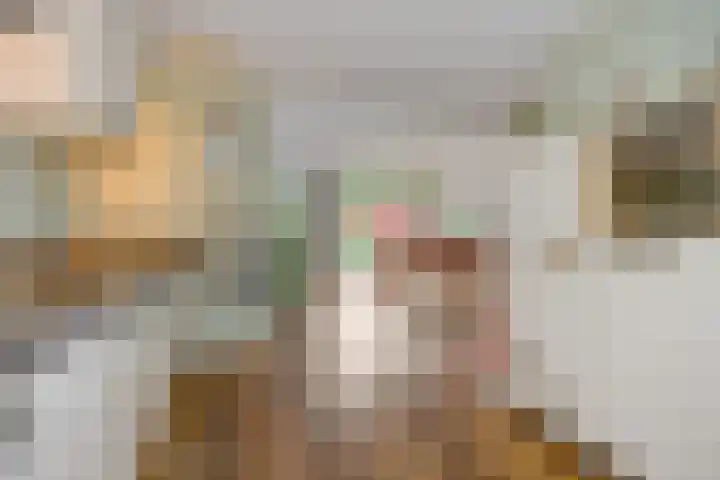 Diamantborch 27 Rosmalen thumbnail 15