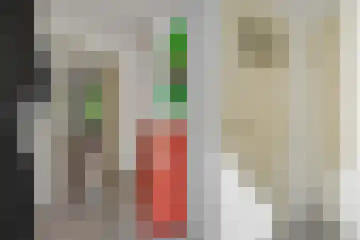 Diamantborch 27 Rosmalen thumbnail 17