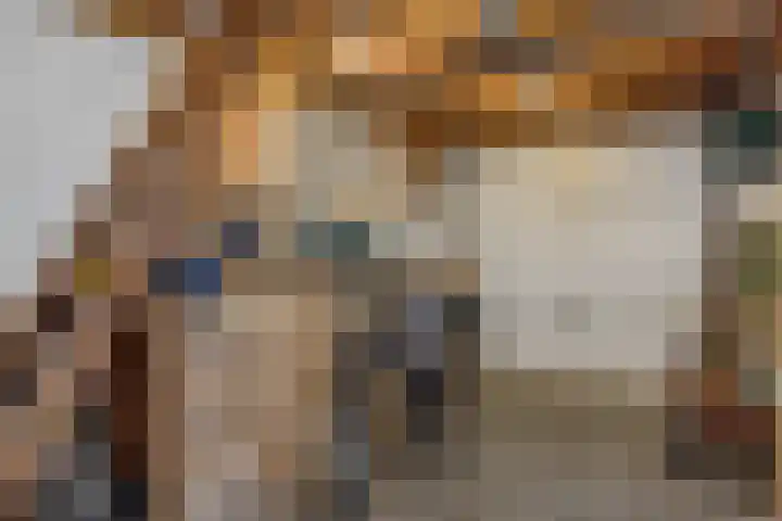Diamantborch 27 Rosmalen thumbnail 29