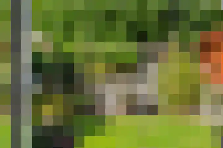 Diamantborch 27 Rosmalen thumbnail 33