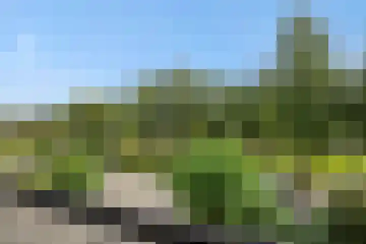 Diamantborch 27 Rosmalen thumbnail 39