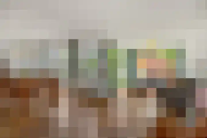 Diamantborch 27 Rosmalen thumbnail 4