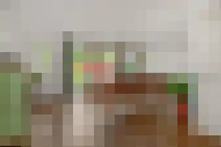 Diamantborch 27 Rosmalen thumbnail 6