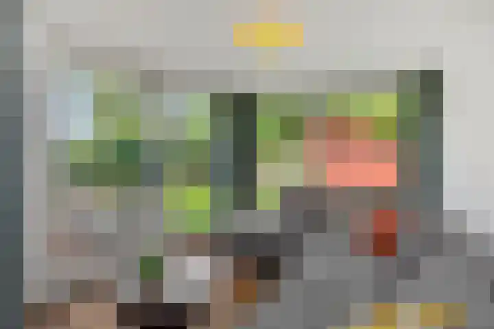 Diamantborch 27 Rosmalen thumbnail 9