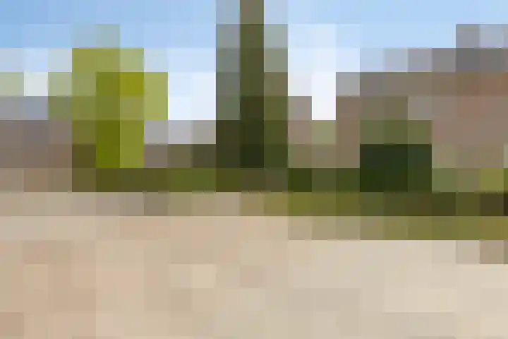 Diamantdijk 113 Roosendaal thumbnail 4