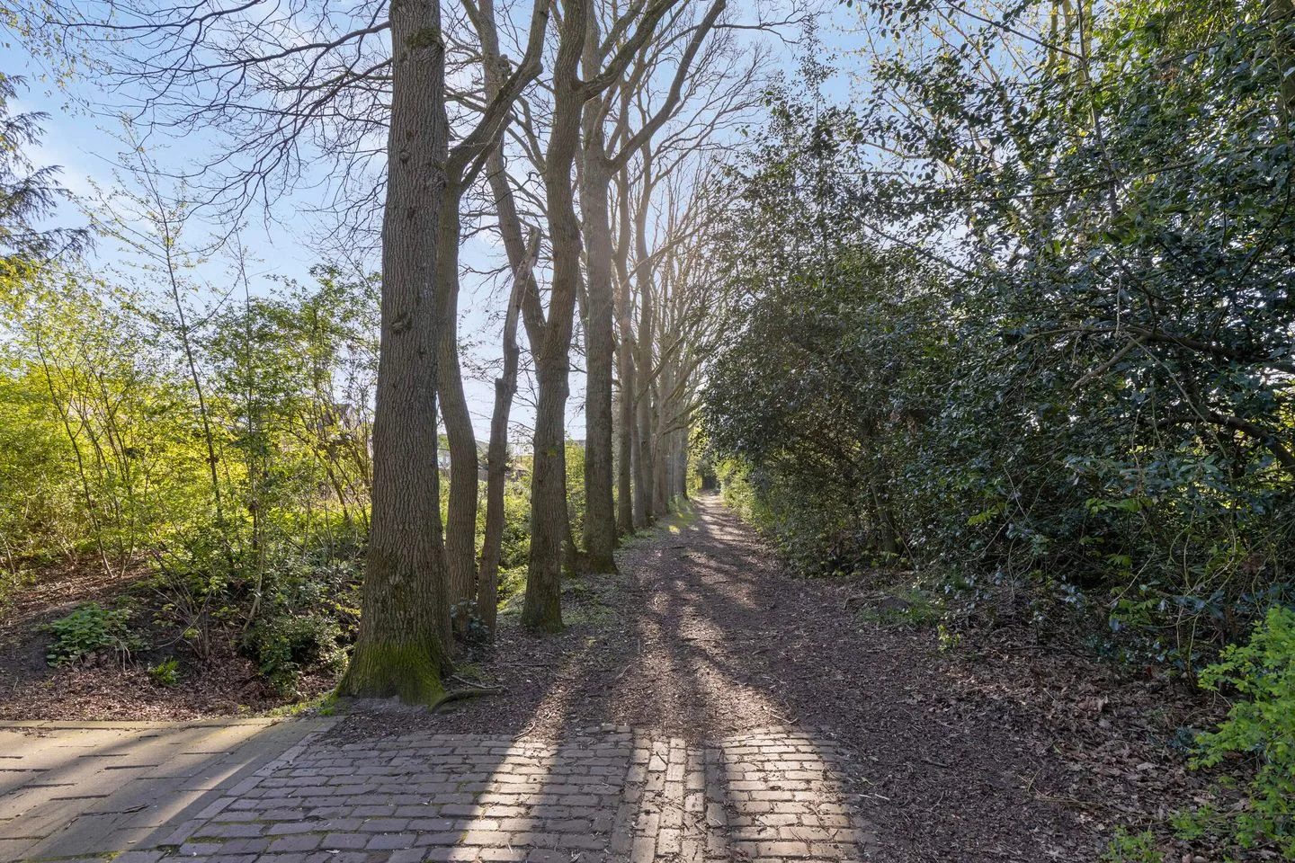 Diamantdijk 137 Roosendaal thumbnail 47