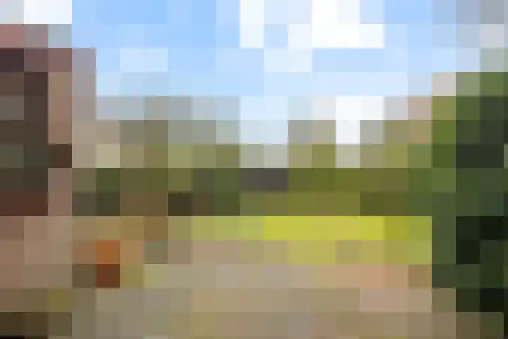 Diamantdijk 150 Roosendaal thumbnail 39