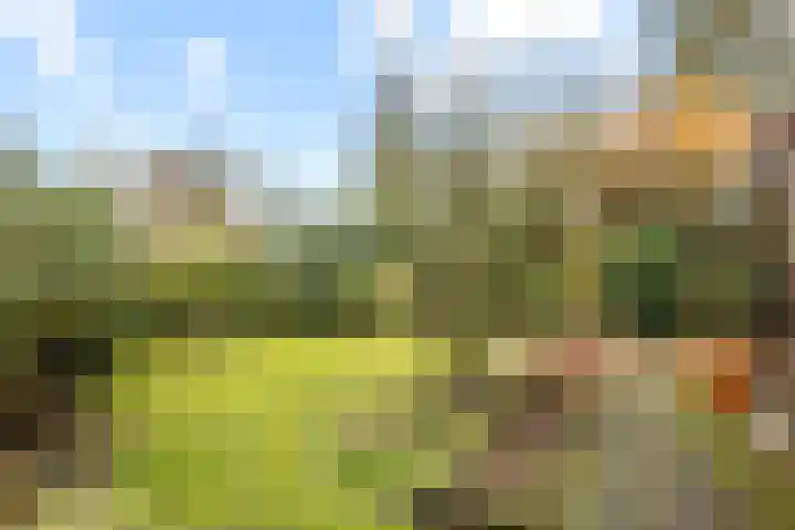 Diamantdijk 150 Roosendaal thumbnail 40