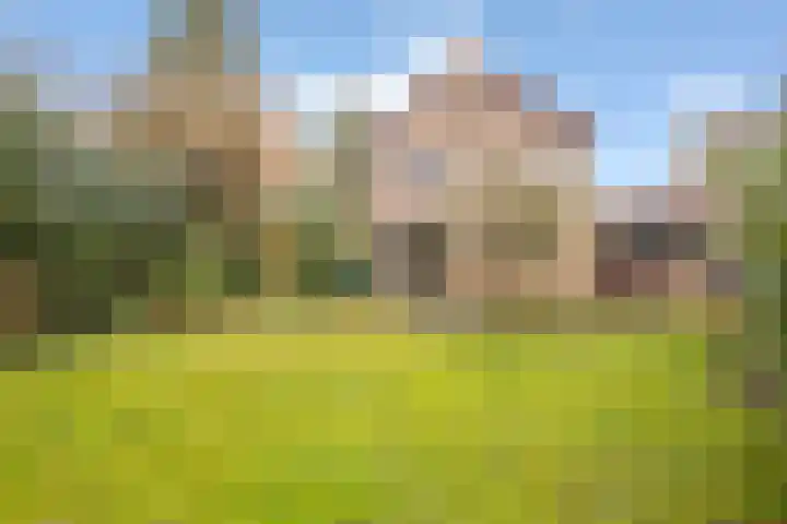 Diamantdijk 150 Roosendaal thumbnail 43