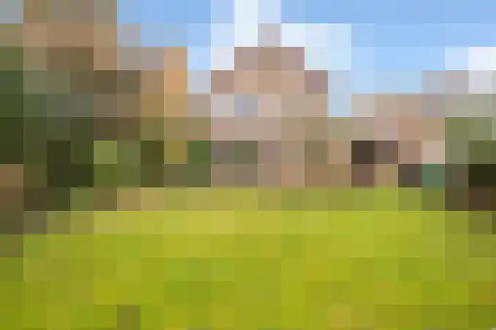 Diamantdijk 150 Roosendaal thumbnail 44