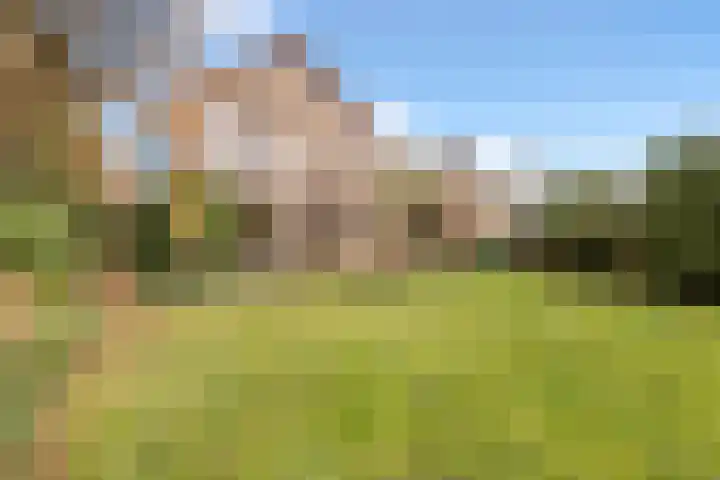 Diamantdijk 150 Roosendaal thumbnail 45