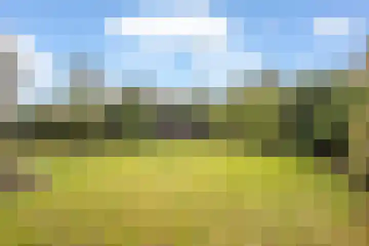 Diamantdijk 150 Roosendaal thumbnail 5