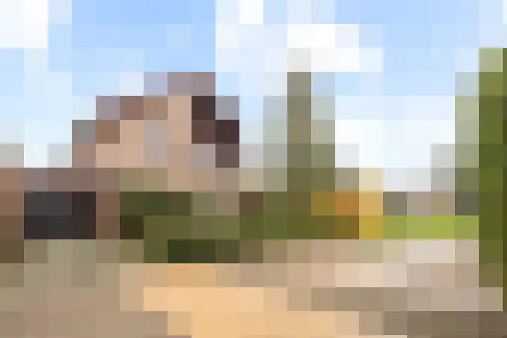 Diamantdijk 150 Roosendaal thumbnail 50
