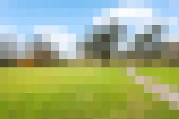 Diamantdijk 150 Roosendaal thumbnail 53