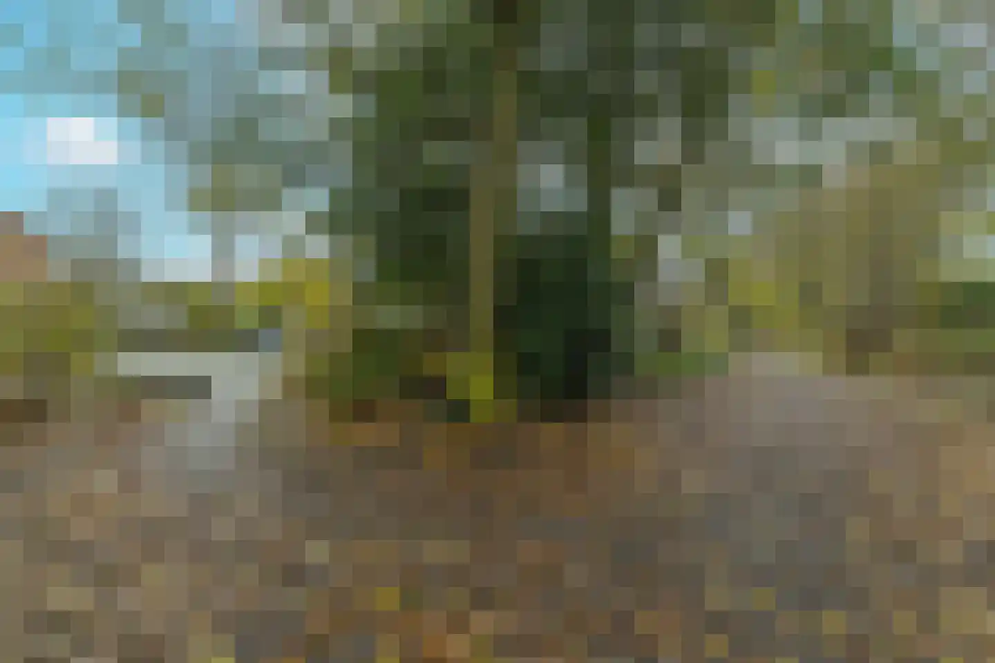Diamantdijk 180 Roosendaal thumbnail 34