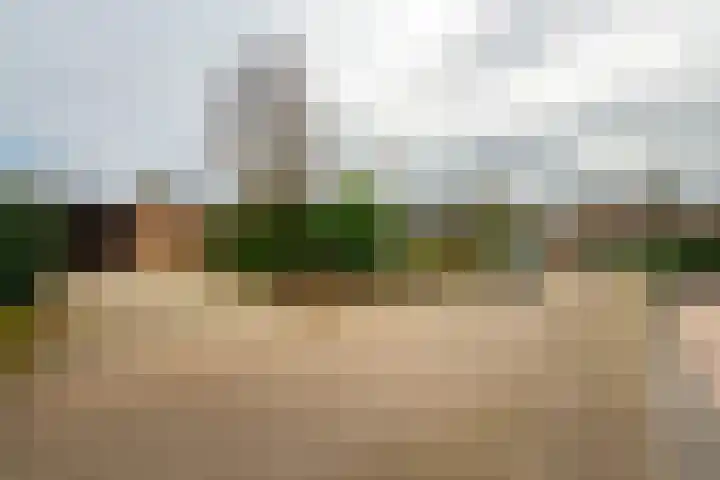 Diamantdijk 239 Roosendaal thumbnail 33