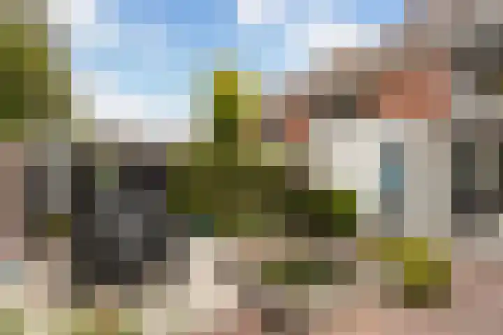 Diamantdijk 253 Roosendaal thumbnail 28