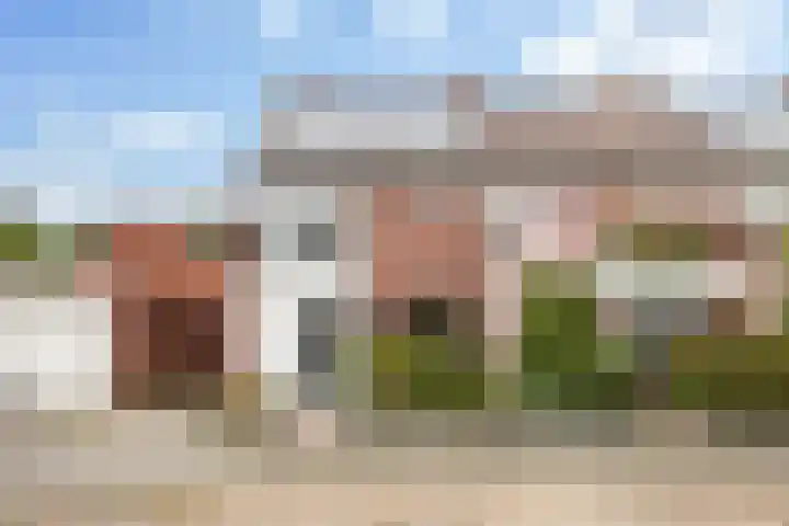Diamantdijk 253 Roosendaal thumbnail 5