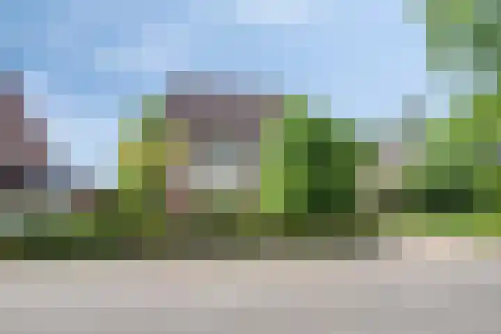 Diamantdijk 272 Roosendaal thumbnail 52