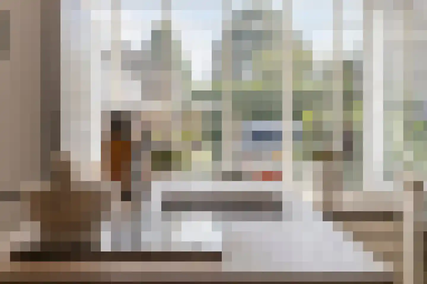 Diamantdijk 311 Roosendaal thumbnail 11
