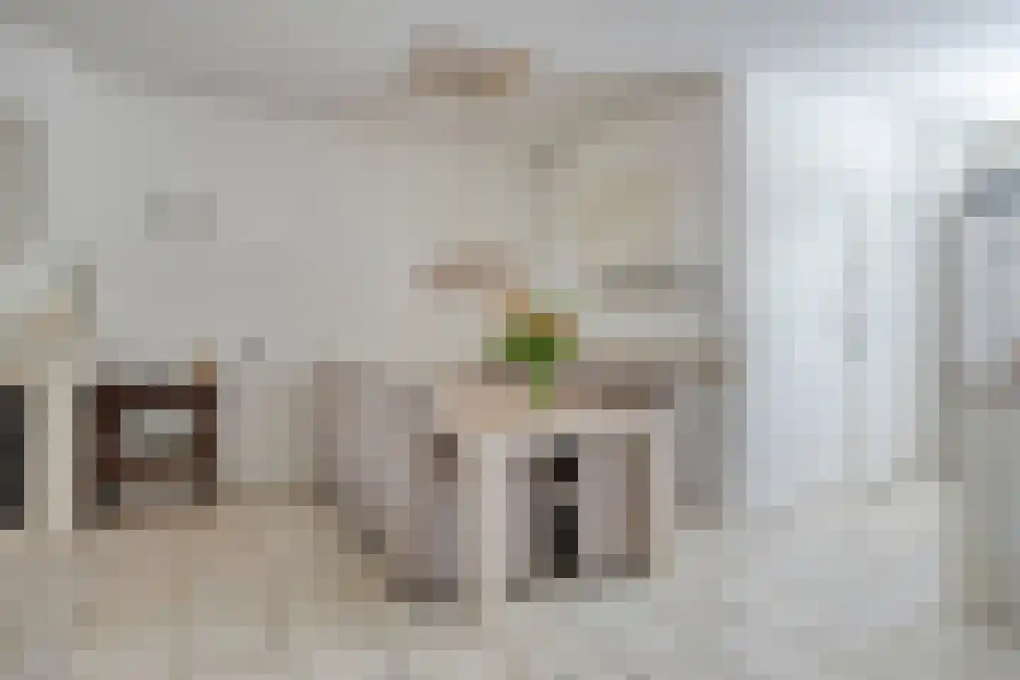 Diamantdijk 311 Roosendaal thumbnail 9