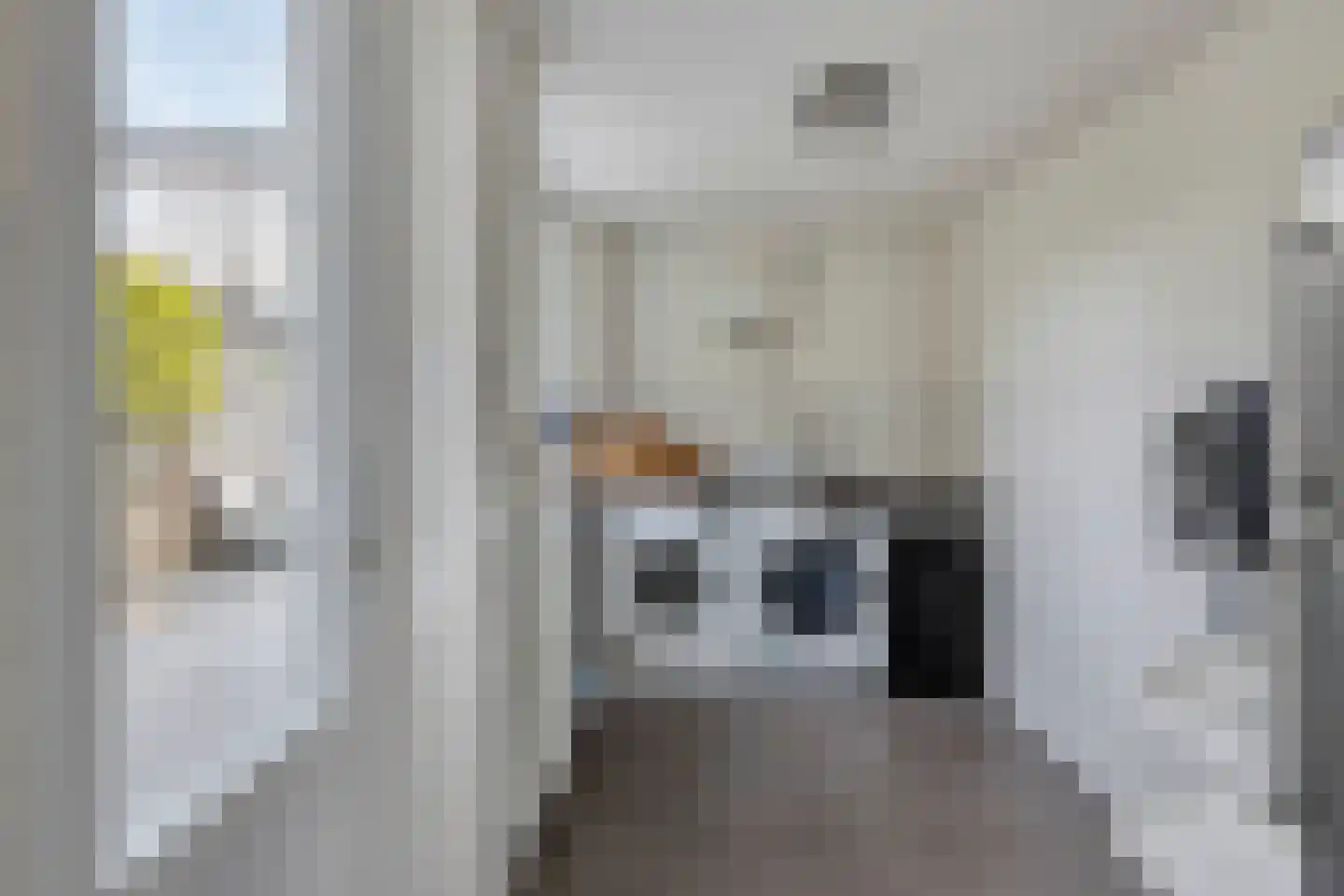 Diamantdijk 91 Roosendaal thumbnail 16