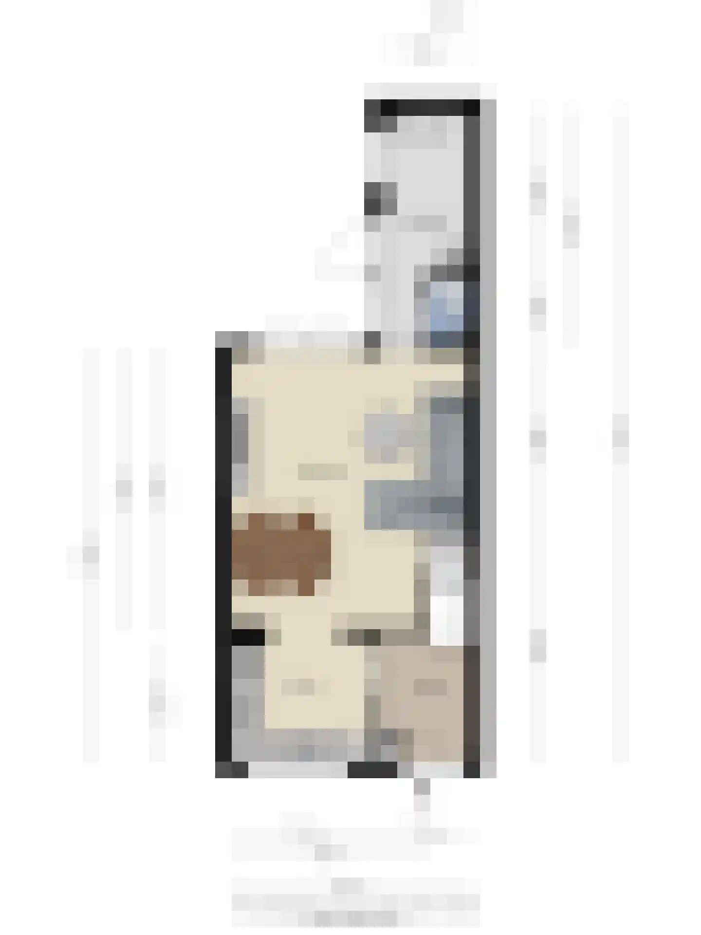 Diamantdijk 91 Roosendaal thumbnail 43