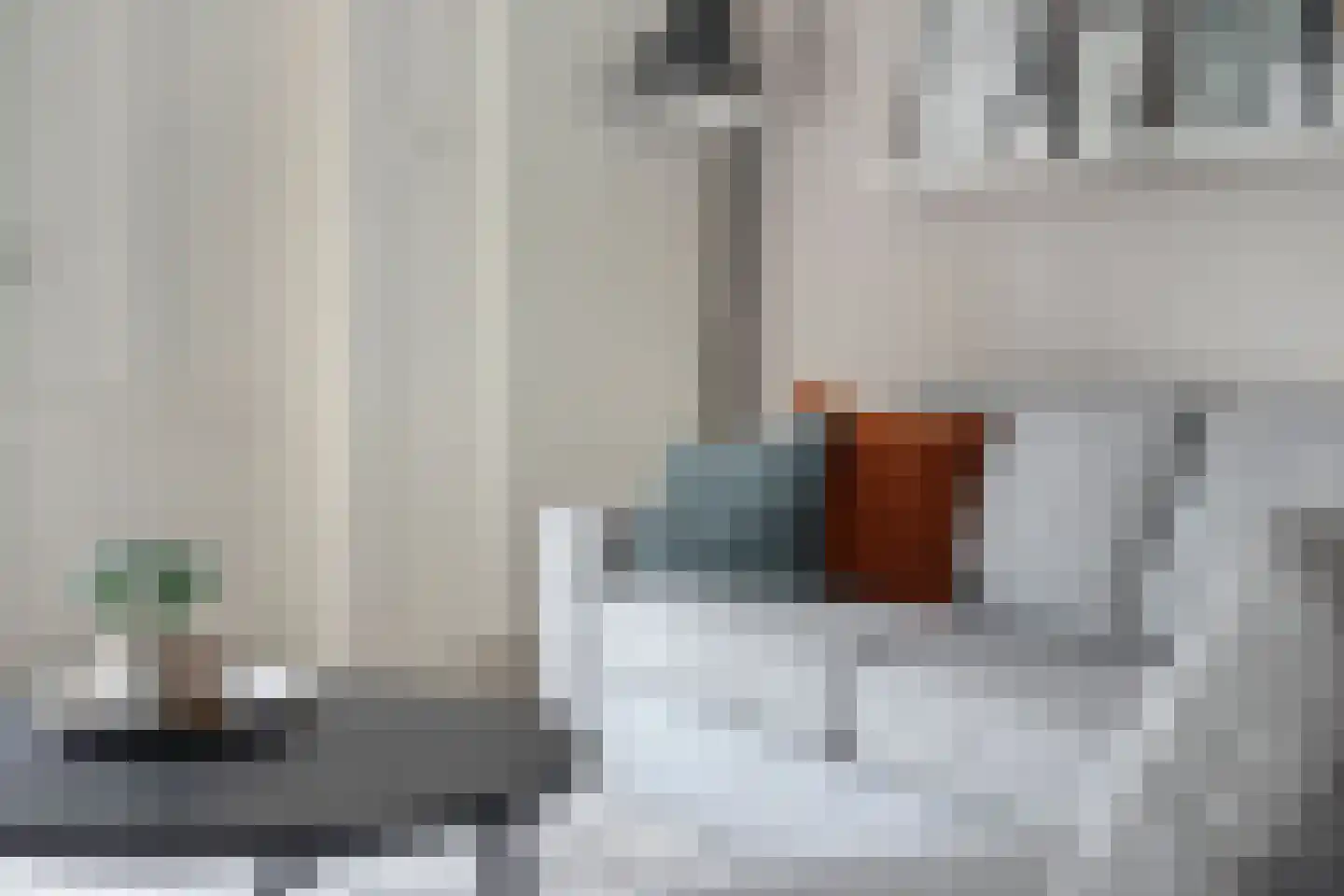 Diamantdijk 91 Roosendaal thumbnail 8