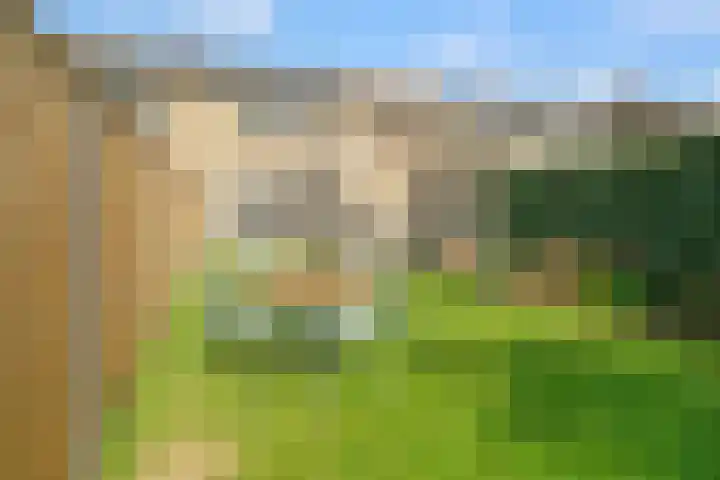 Diamantdijk 97 Roosendaal thumbnail 31