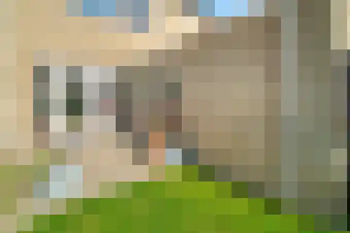 Diamantdijk 97 Roosendaal thumbnail 32