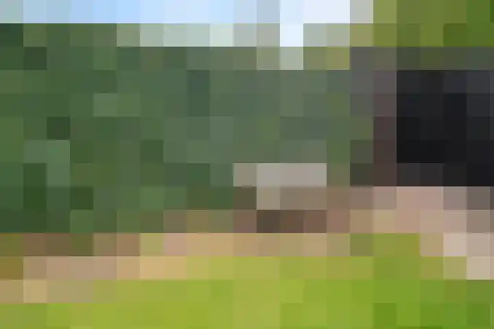 Diamantdijk 97 Roosendaal thumbnail 33
