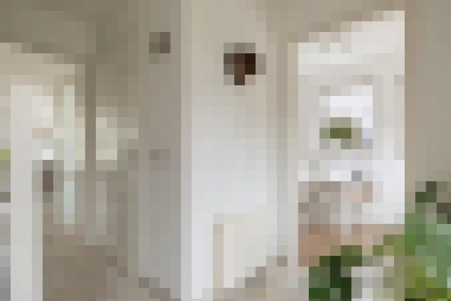 Diamantdreef 18 Emmen thumbnail 21