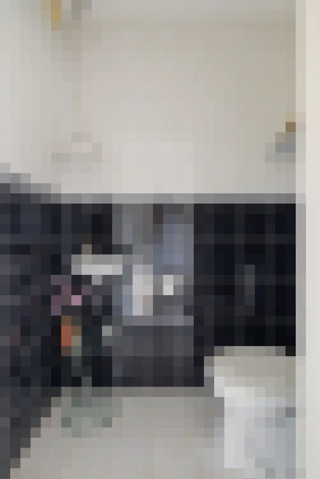 Diamantdreef 18 Emmen thumbnail 23