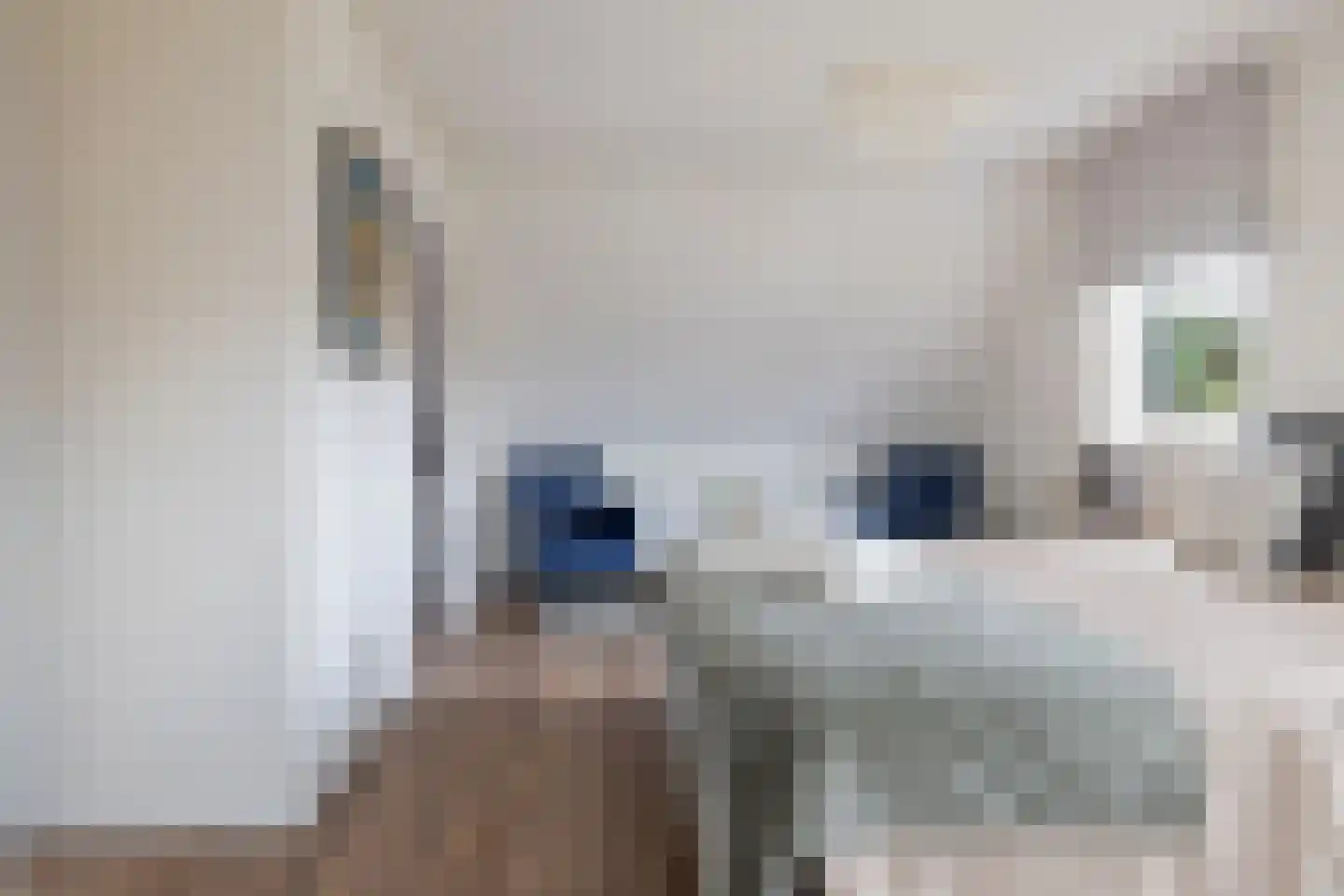 Diamantdreef 18 Emmen thumbnail 30